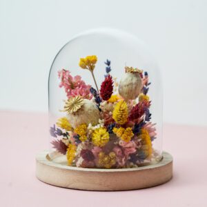 Cloche en Verre avec Composition Florale en Fleurs Séchées multicolore