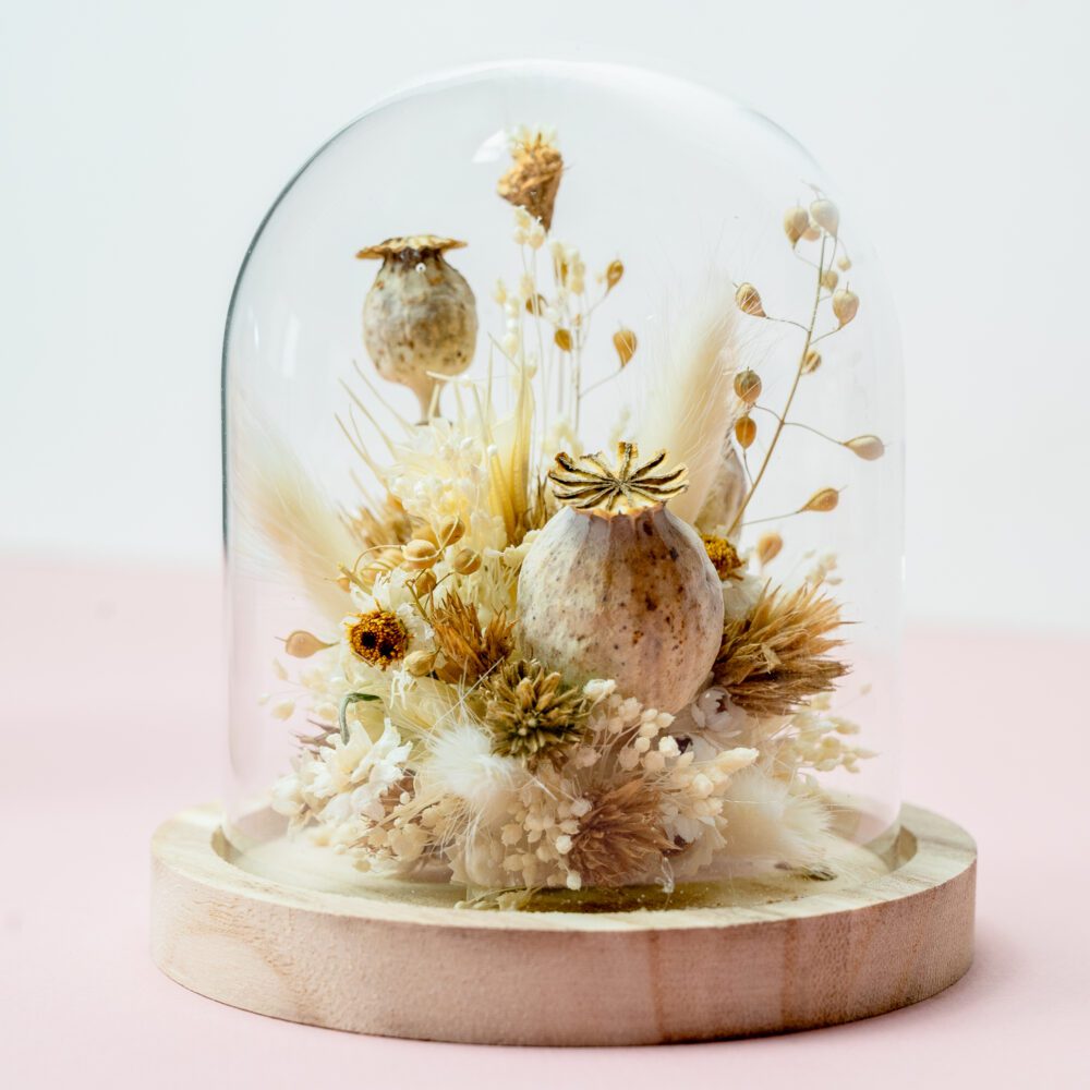 Composition en fleurs séchées blanche naturelle sous cloche en verre